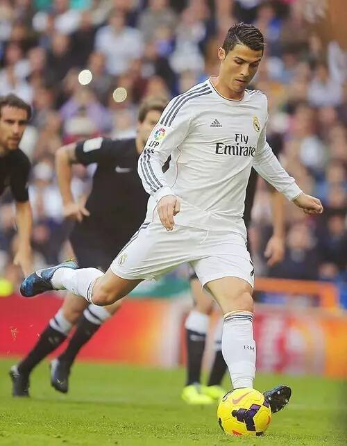 队为赛季目 队为赛季目